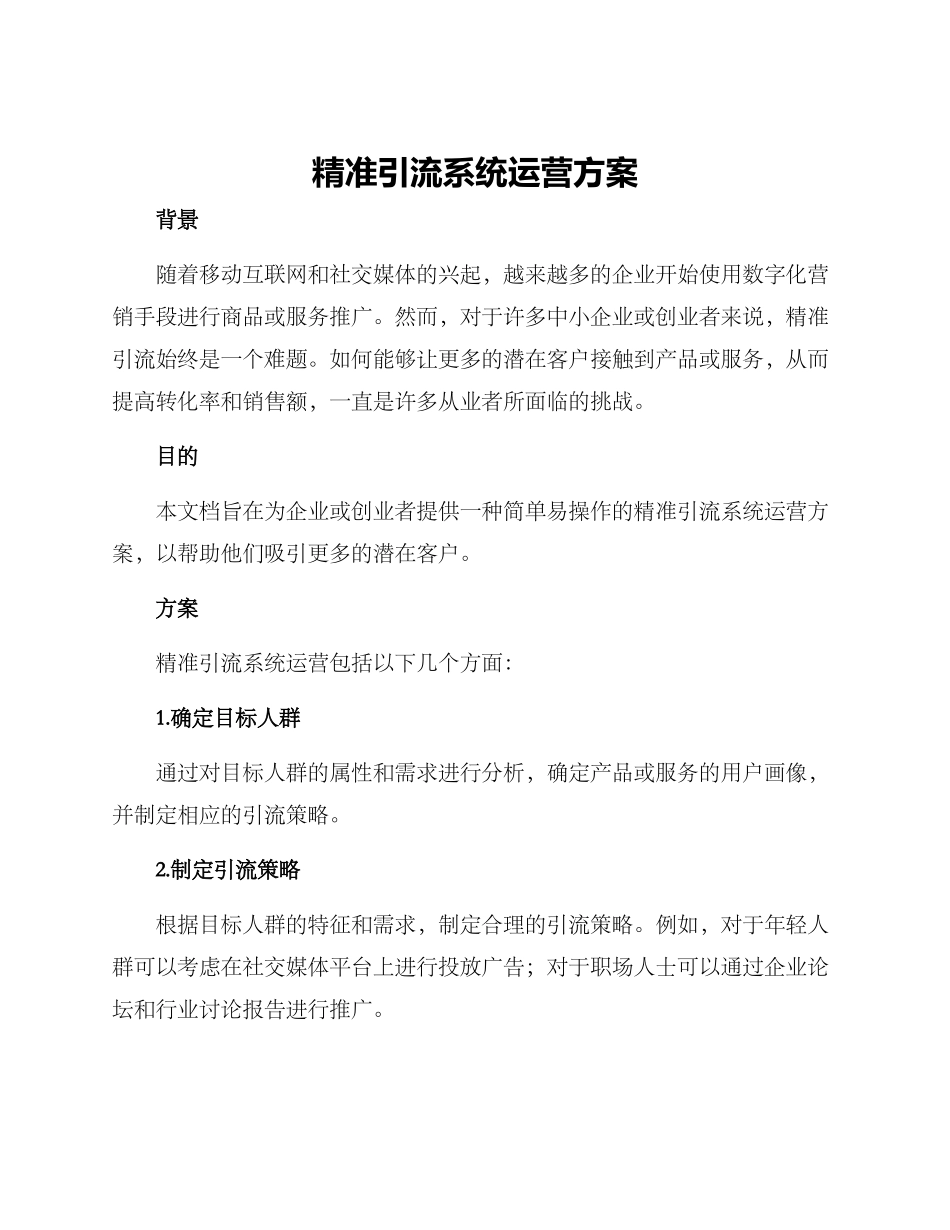 精准引流系统运营方案_第1页