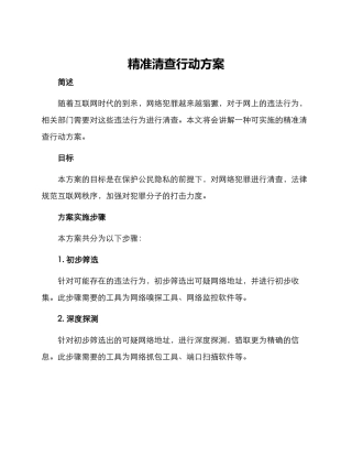 精准清查行动方案