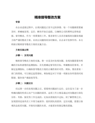 精准督导整改方案