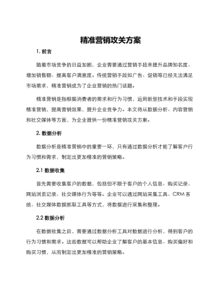 精准营销攻关方案