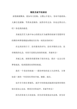 精致圣诞节祝福语