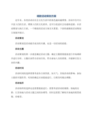 精致活动策划方案