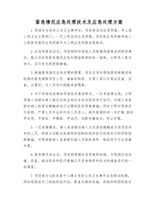 紧急情况应急处理技术及应急处理方案