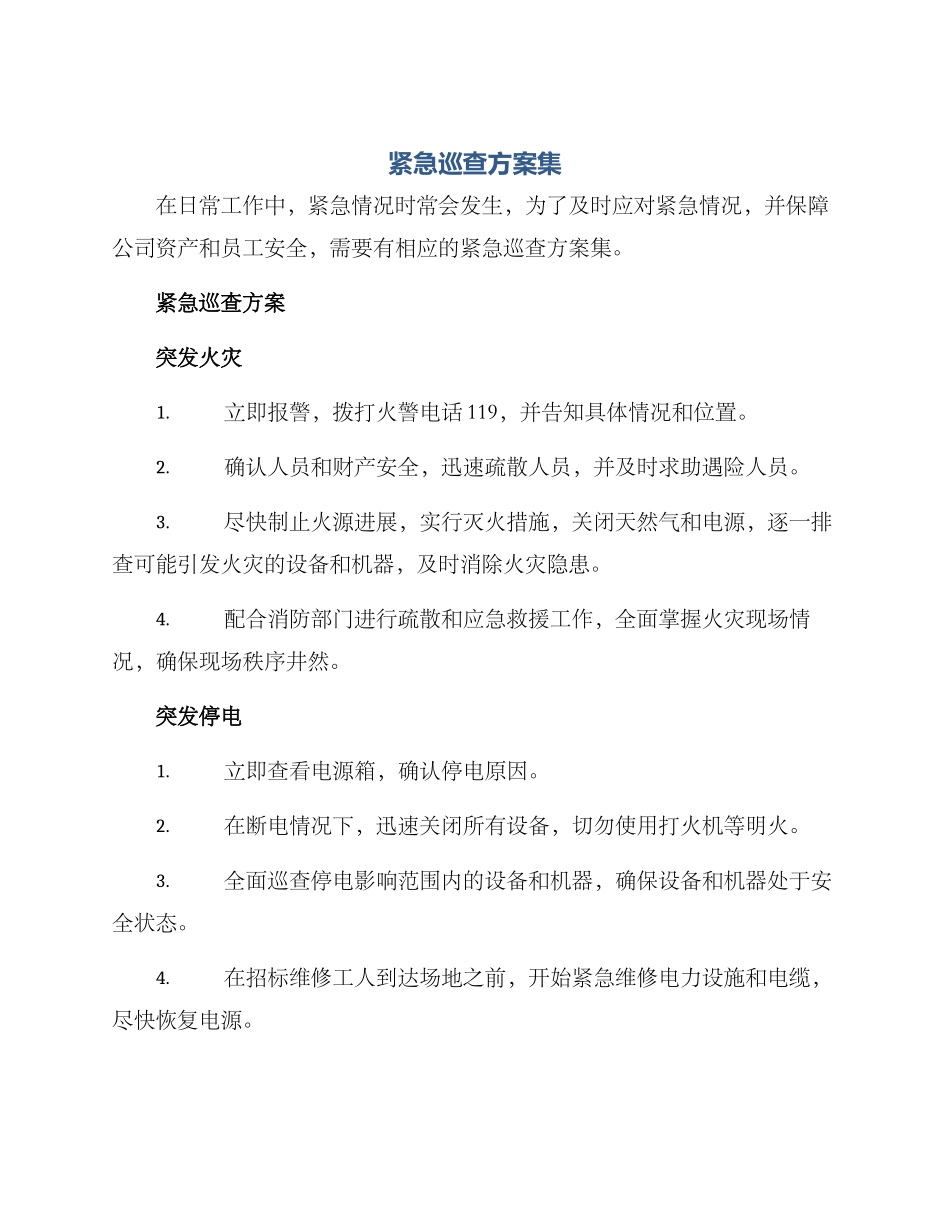 紧急巡查方案集_第1页