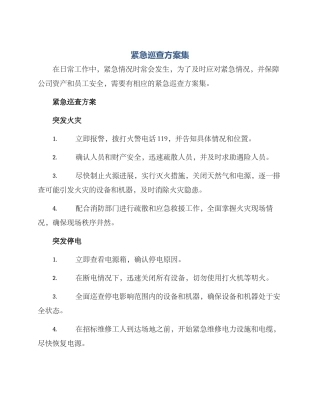 紧急巡查方案集