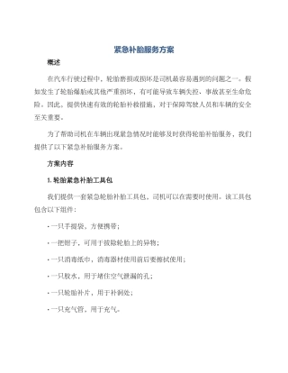紧急补胎服务方案