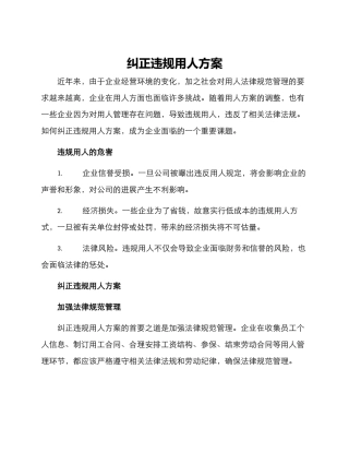 纠正违规用人方案