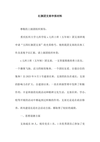 红旗团支部申报材料