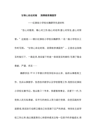 红旗街小学校长先进材料