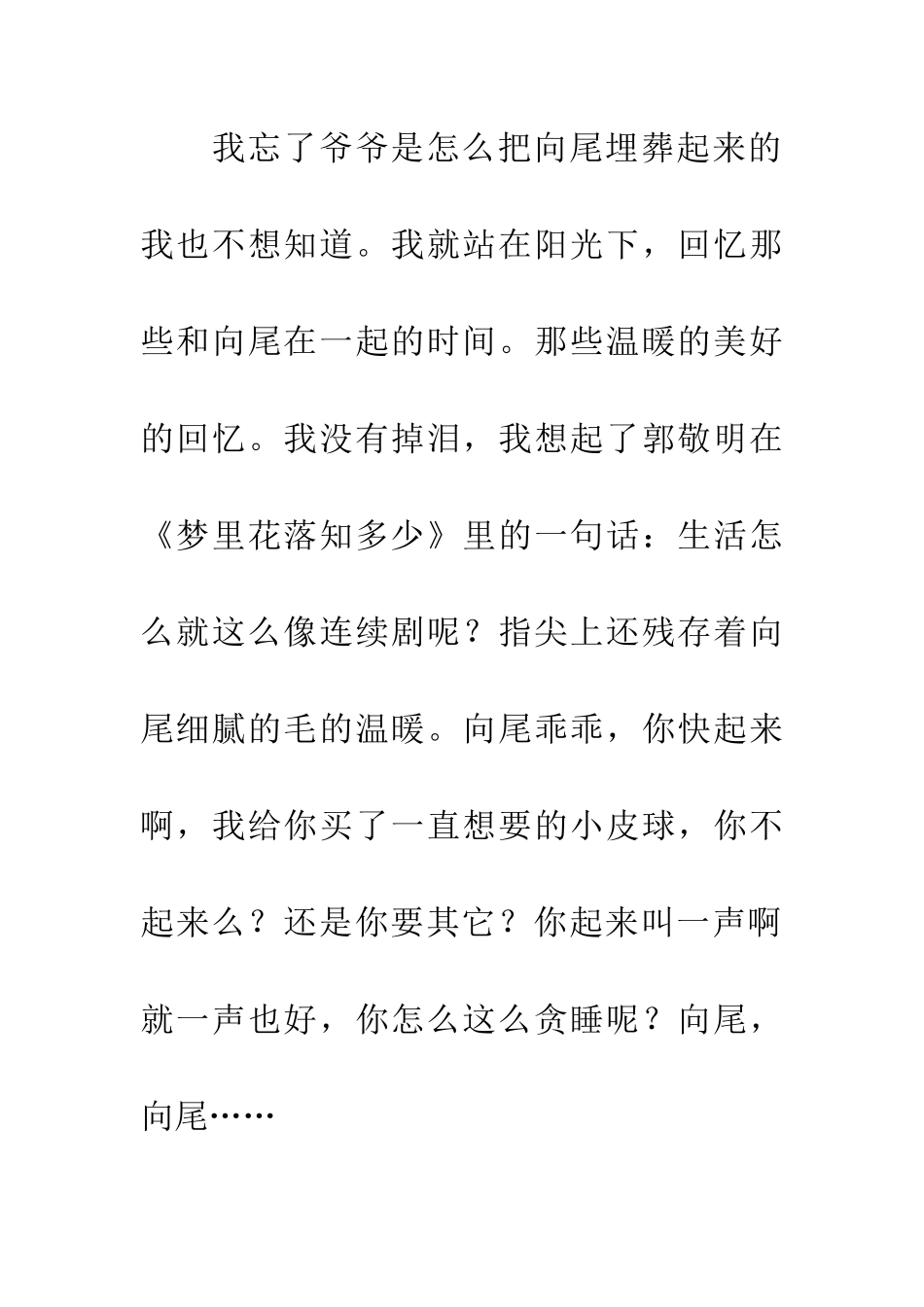 纪念我的向尾猫_第2页
