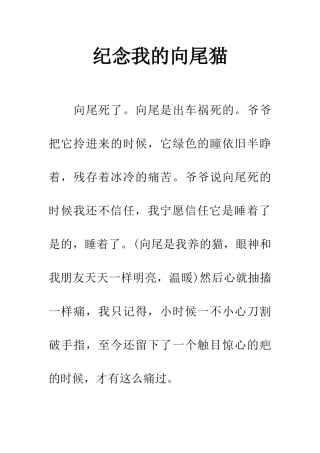 纪念我的向尾猫