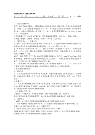 细菌单染色法及口腔微生物的观察