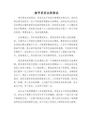 细节系安全的保证