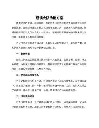 经侦大队传销方案