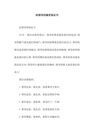 给领导的搞笑保证书