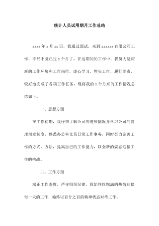 统计人员试用期月工作总结