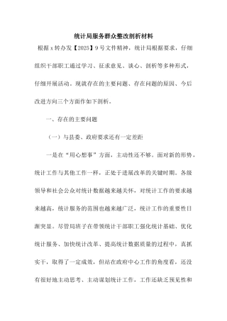 统计局服务群众整改剖析材料