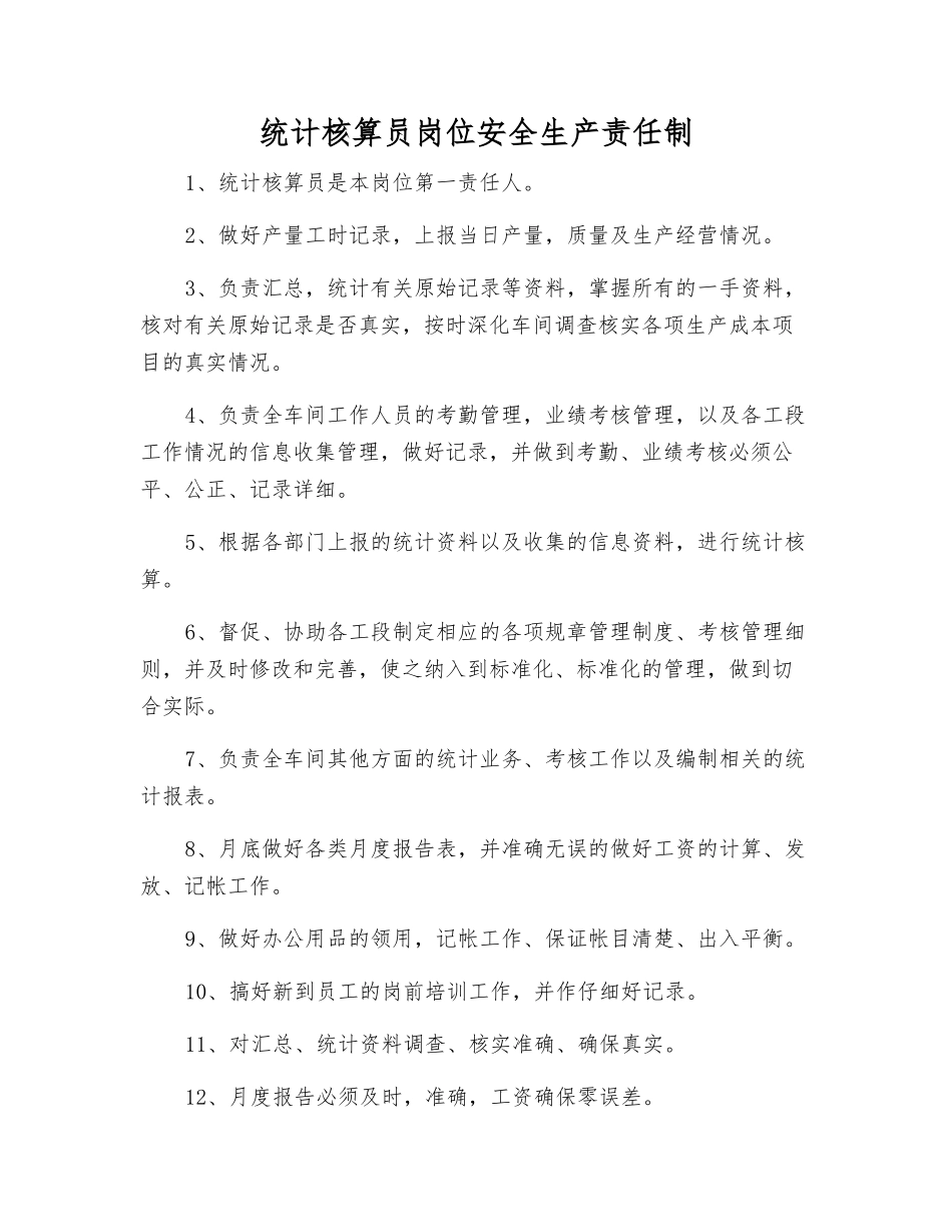统计核算员岗位安全生产责任制_第1页