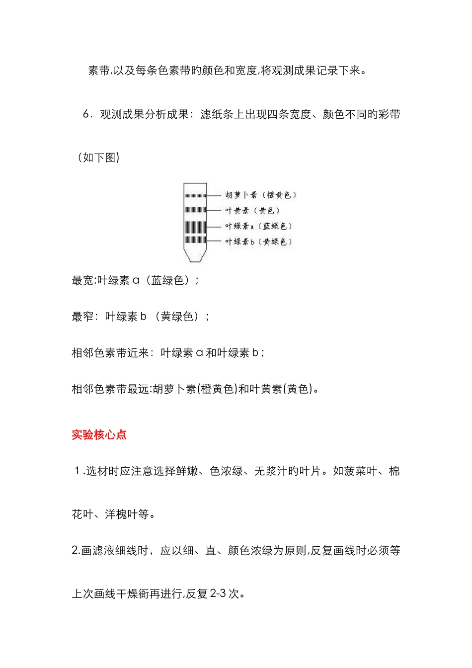 绿叶中色素的提取和分离_第3页