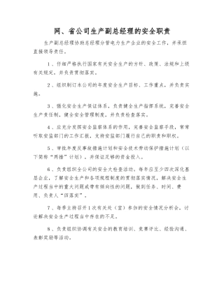 网、省公司生产副总经理的安全职责