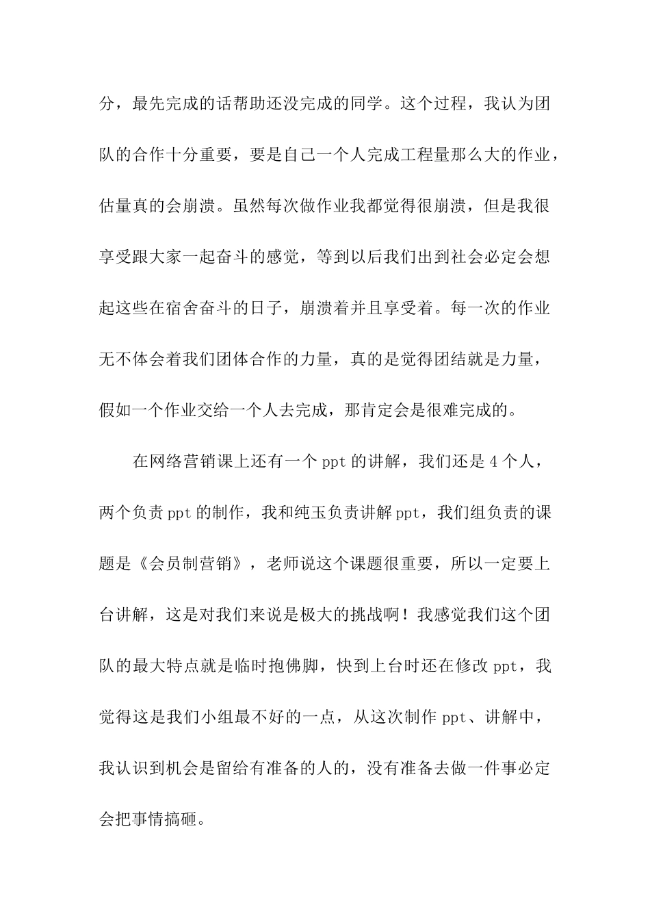 网络营销学习总结-2_第3页