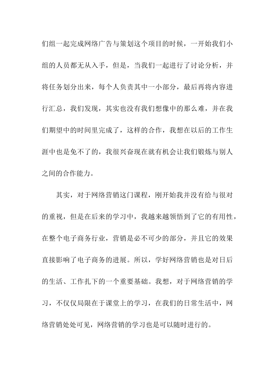 网络营销课程学习总结_第3页