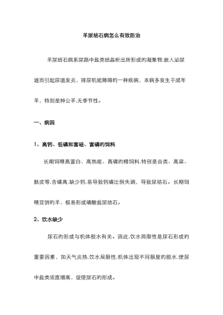 羊尿结石病怎么有效防治
