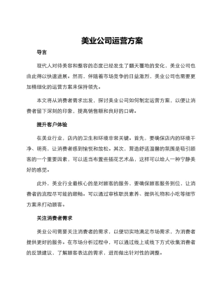 美业公司运营方案