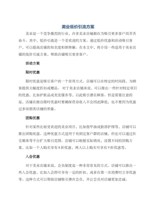 美业低价引流方案