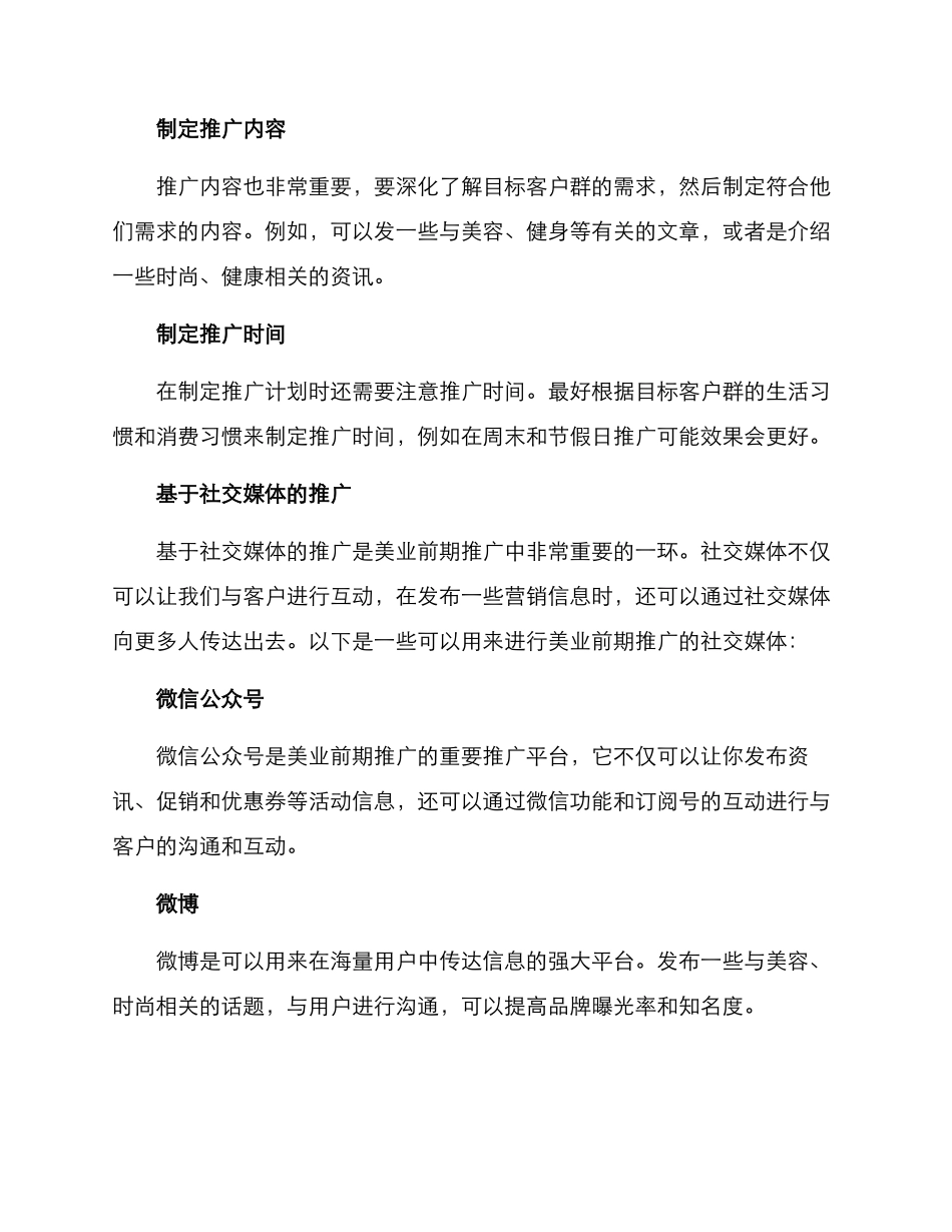 美业前期推广方案_第2页