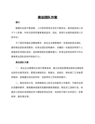 美业团队方案