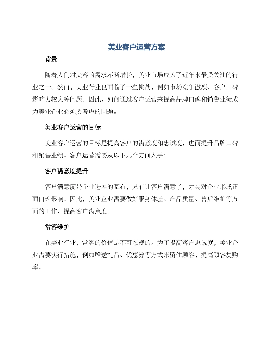 美业客户运营方案_第1页
