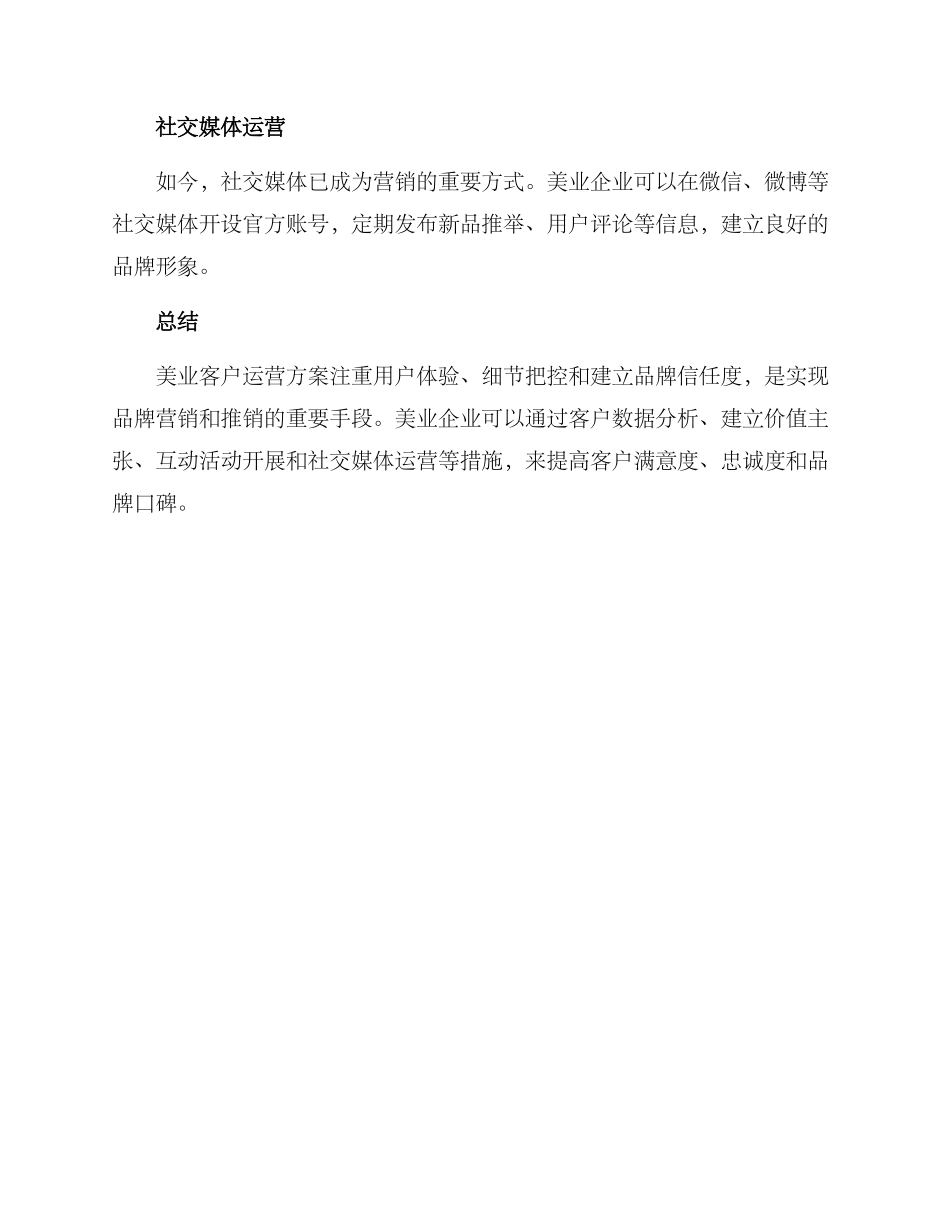 美业客户运营方案_第3页