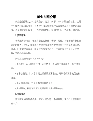 美业方案介绍