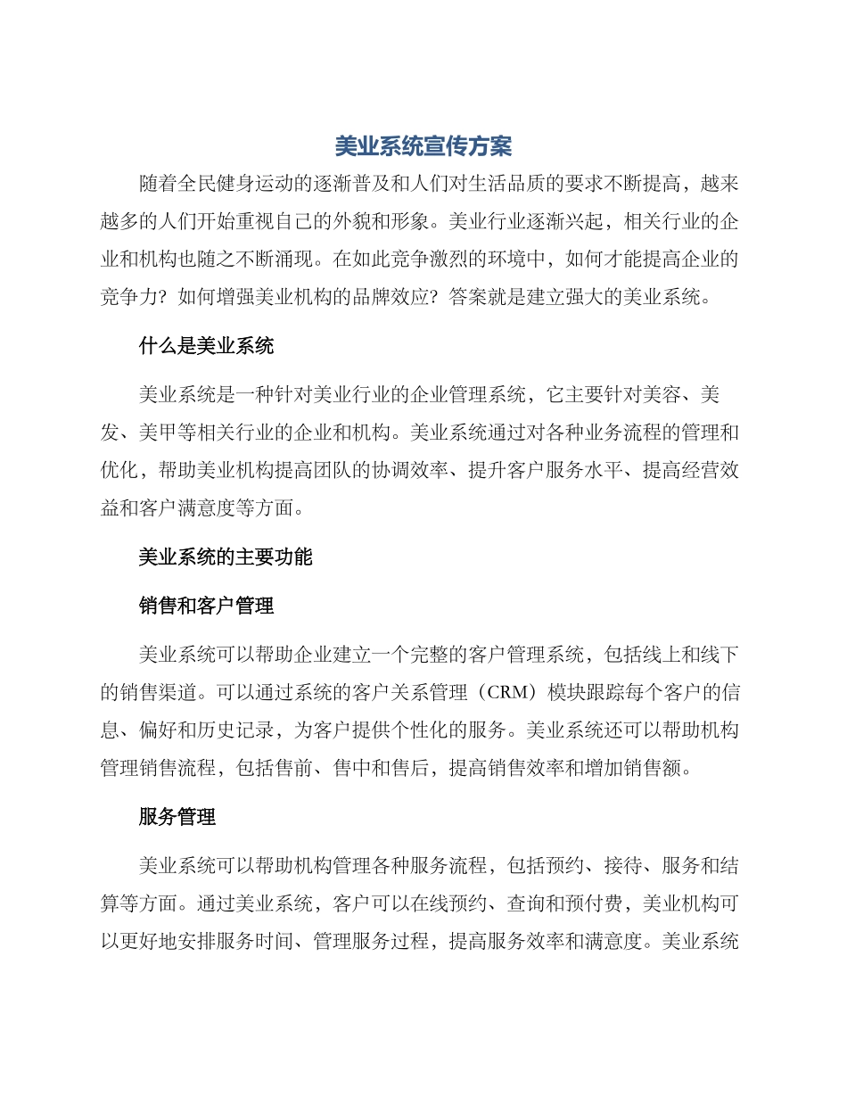 美业系统宣传方案_第1页