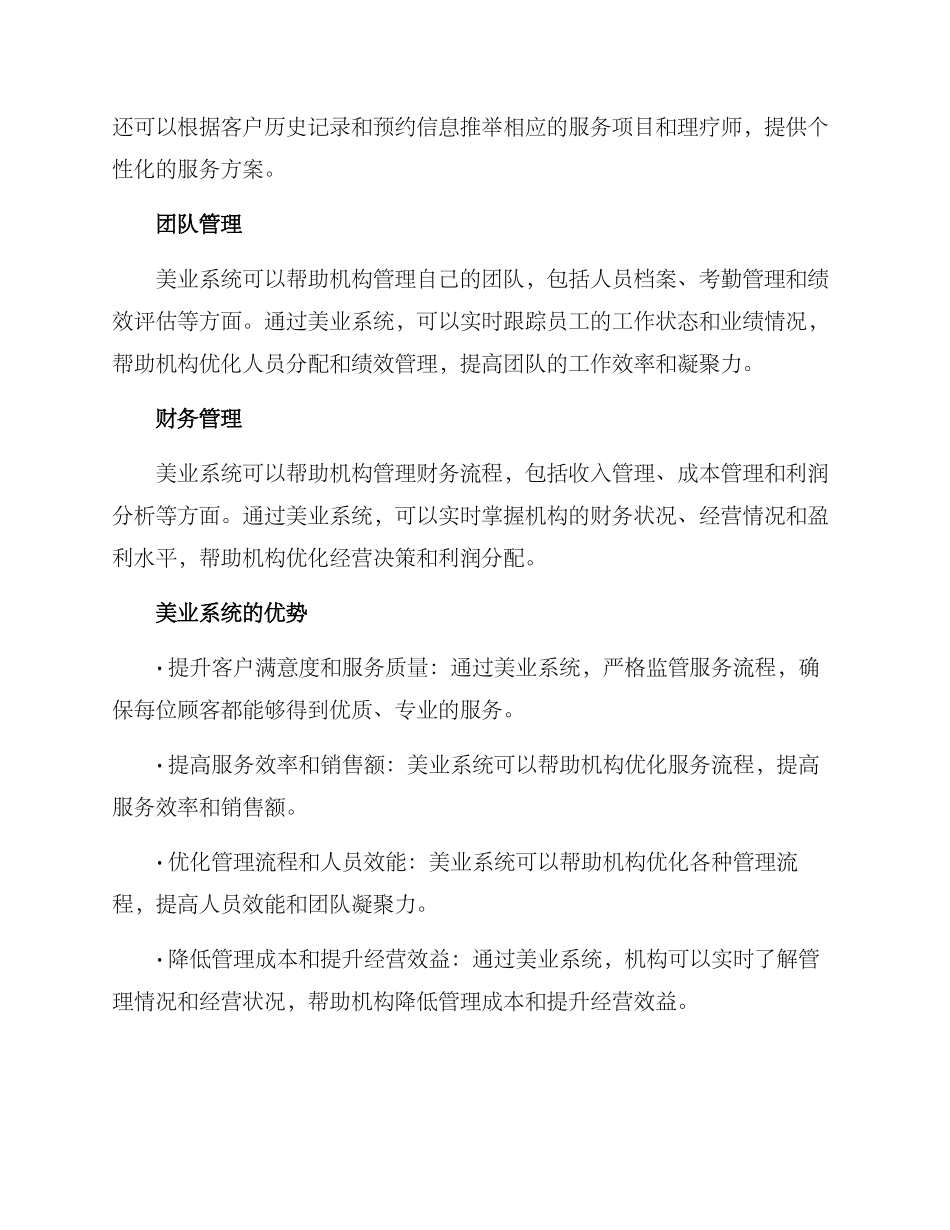 美业系统宣传方案_第2页