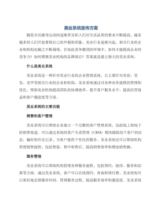 美业系统宣传方案