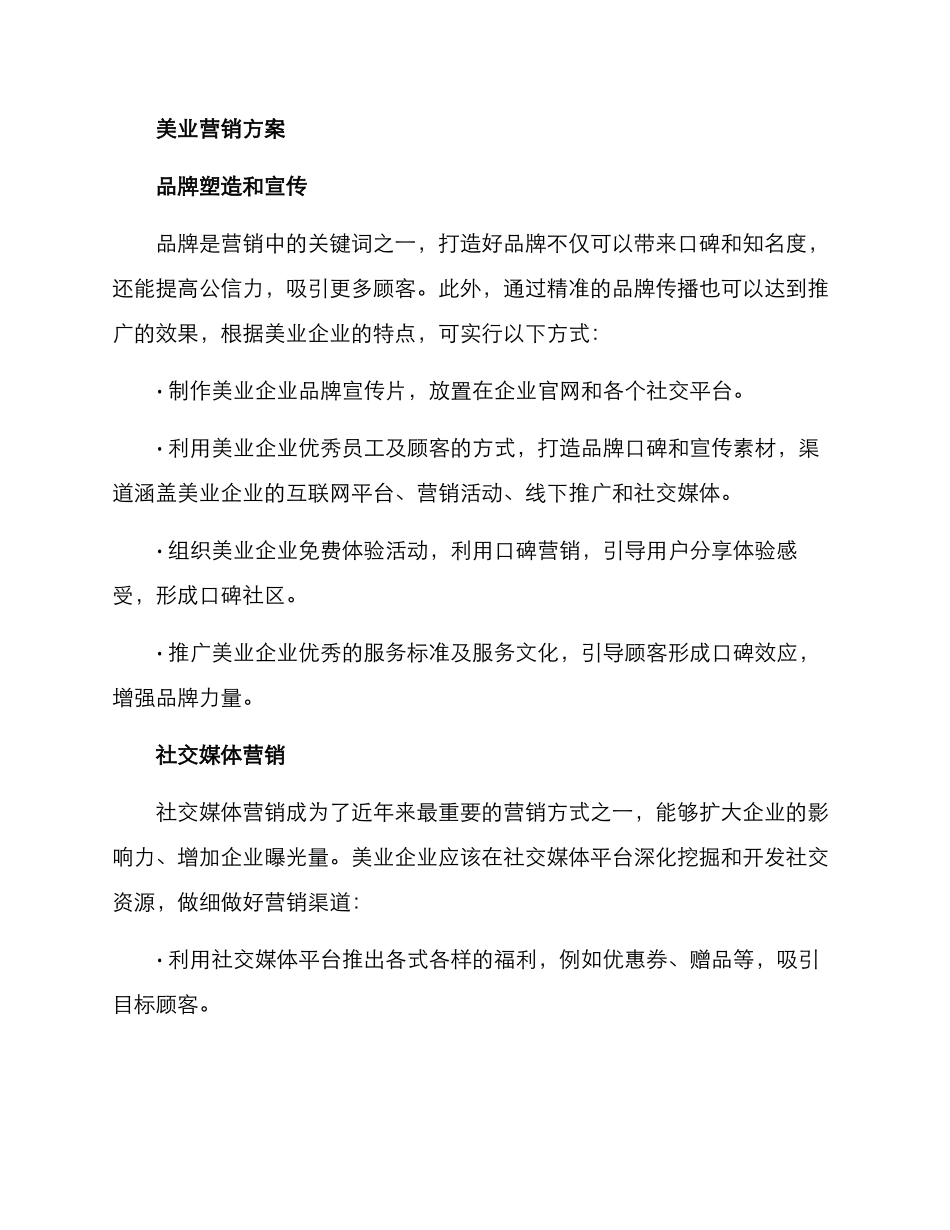 美业营销方案_第2页
