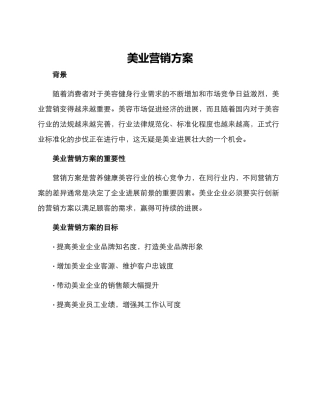 美业营销方案