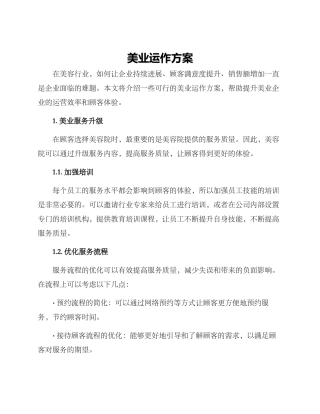 美业运作方案