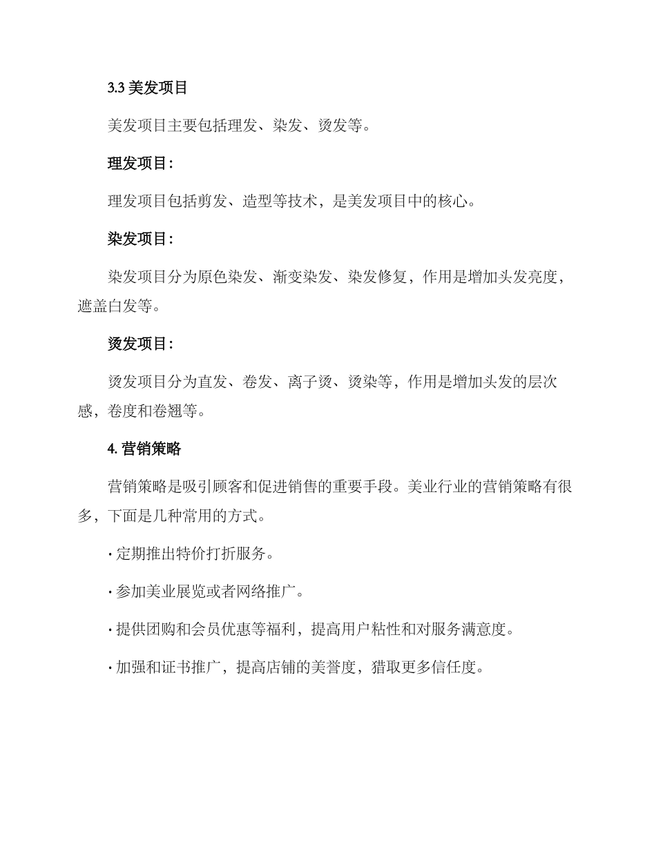 美业项目设置方案_第3页