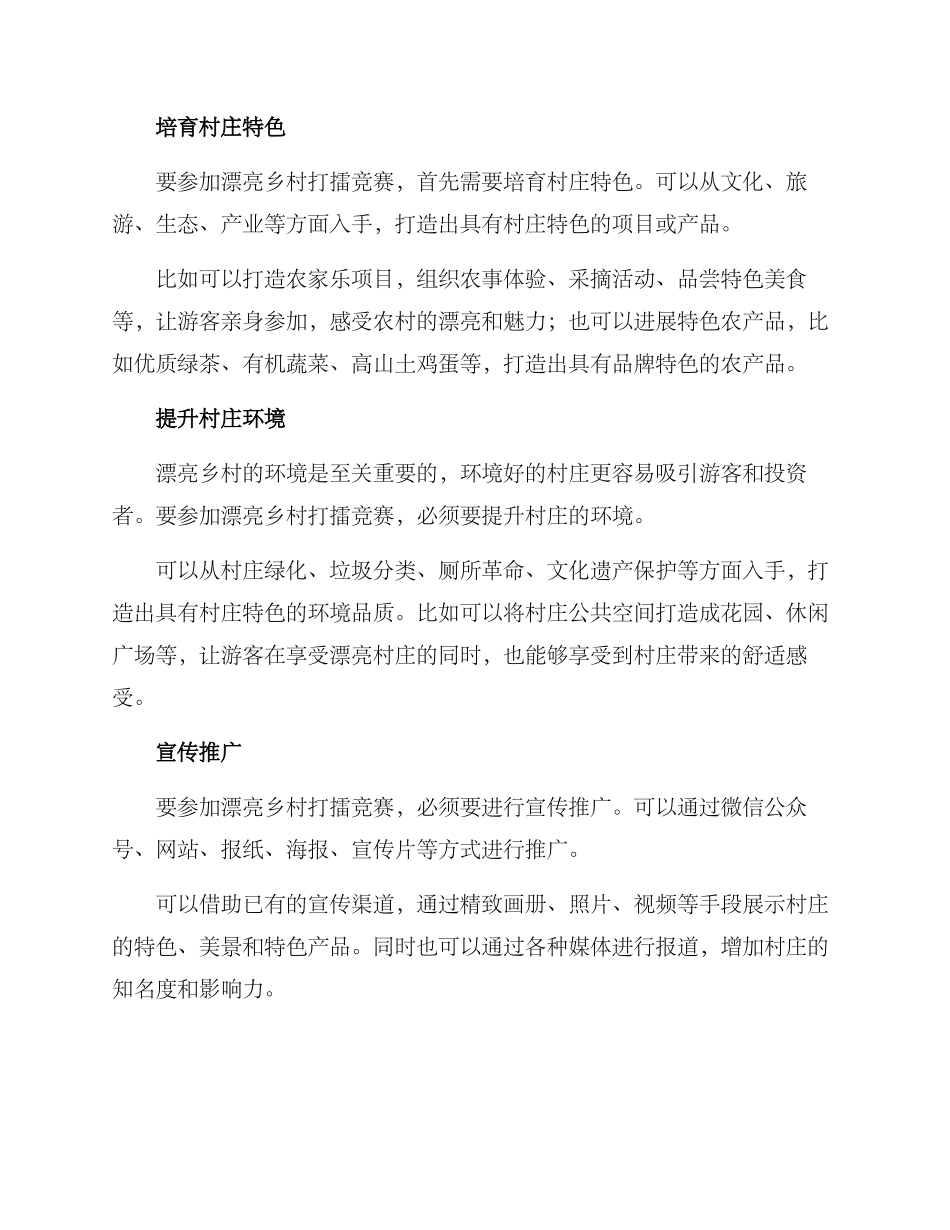 美丽乡村打擂方案_第2页