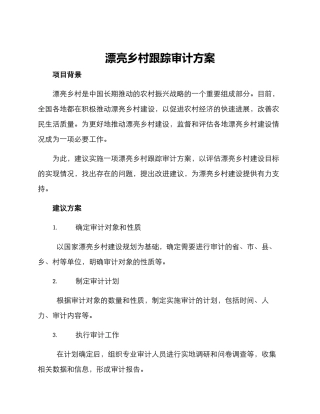 美丽乡村跟踪审计方案