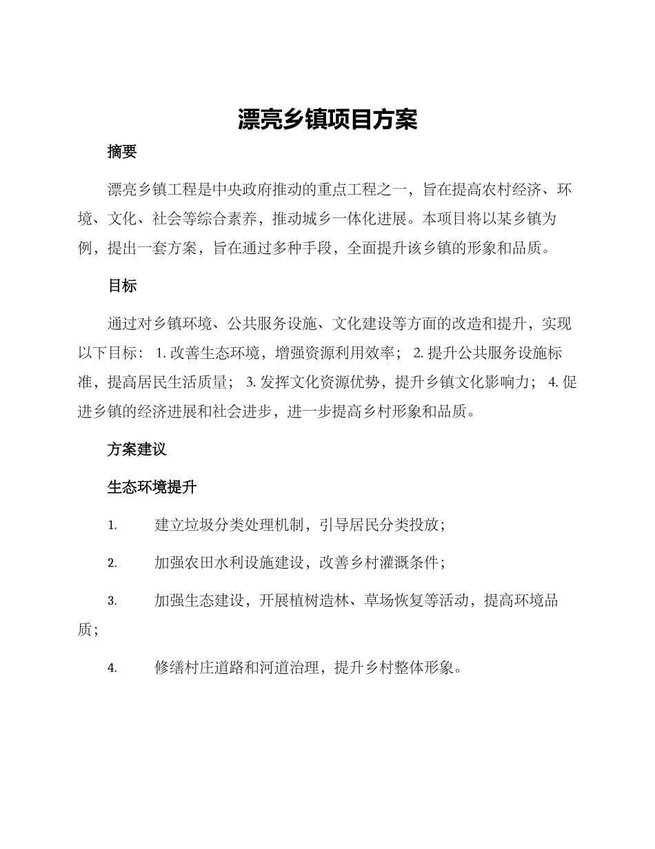 美丽乡镇项目方案_第1页