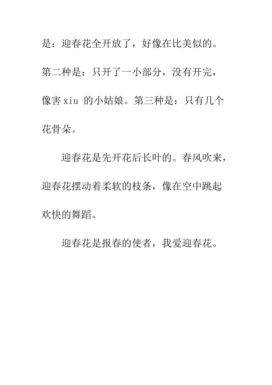 美丽的迎春花_第2页