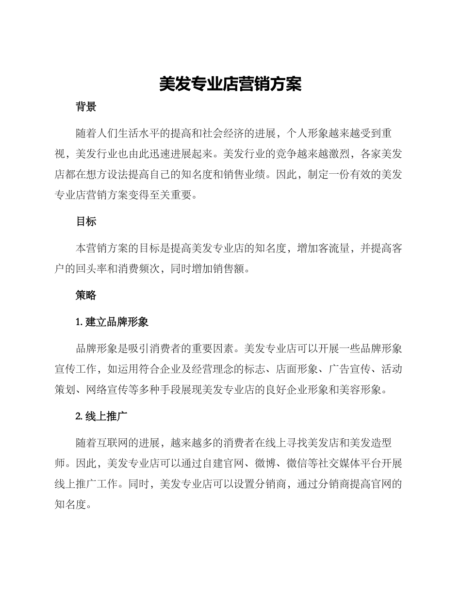 美发专业店营销方案_第1页