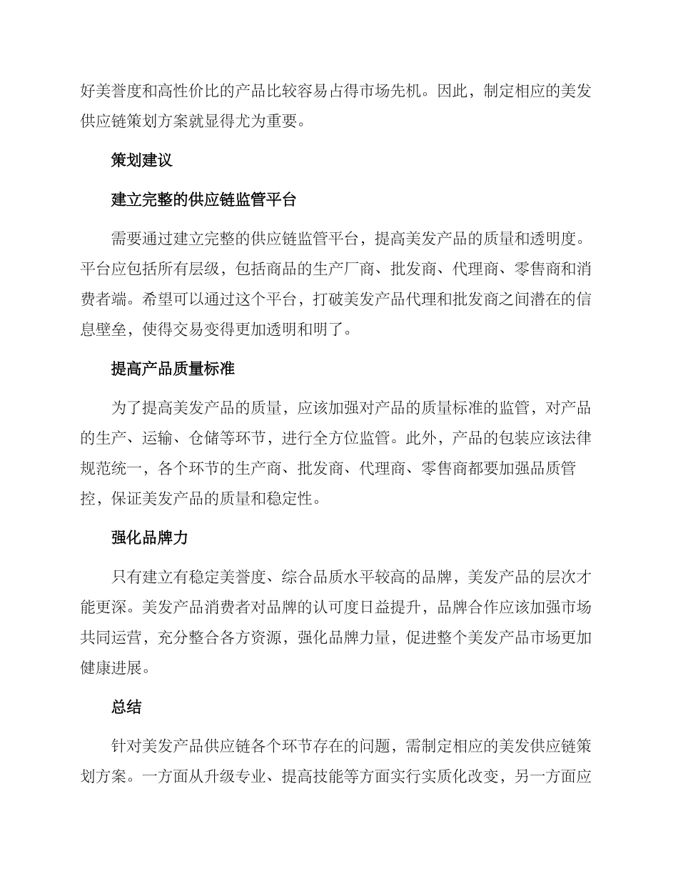 美发供应链策划方案_第2页