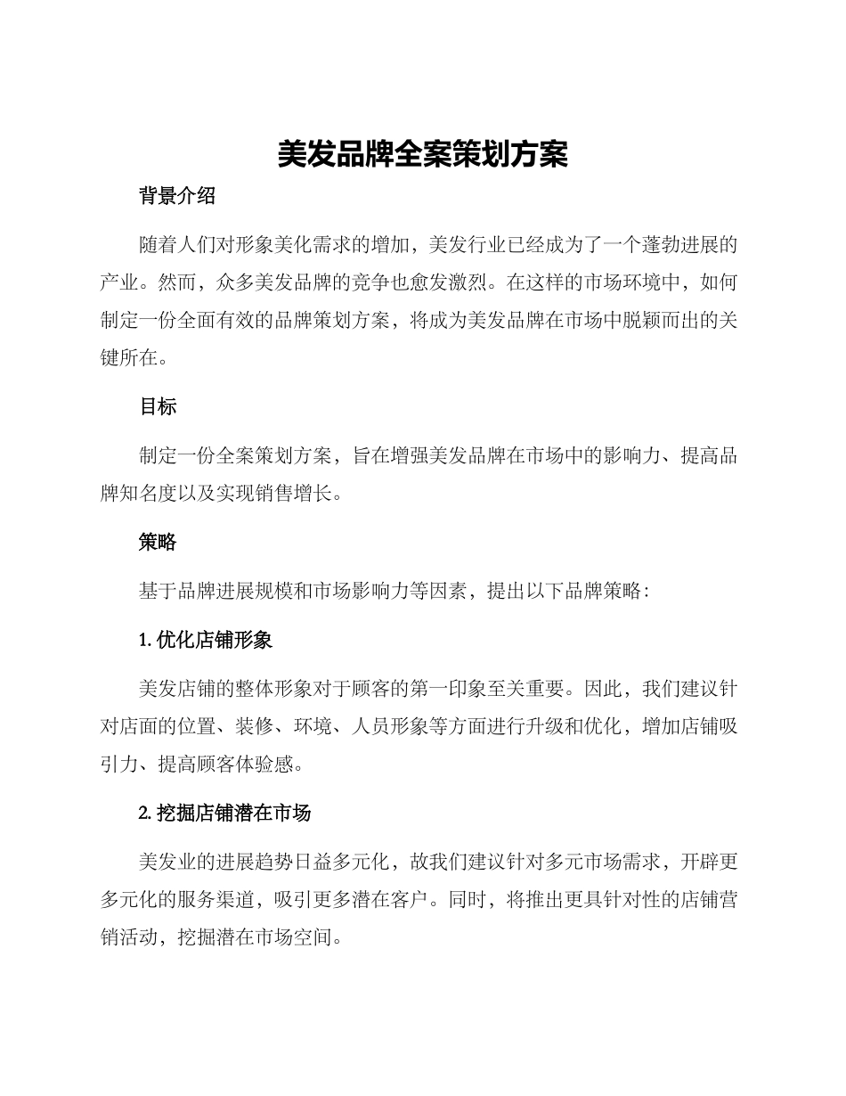 美发品牌全案策划方案_第1页