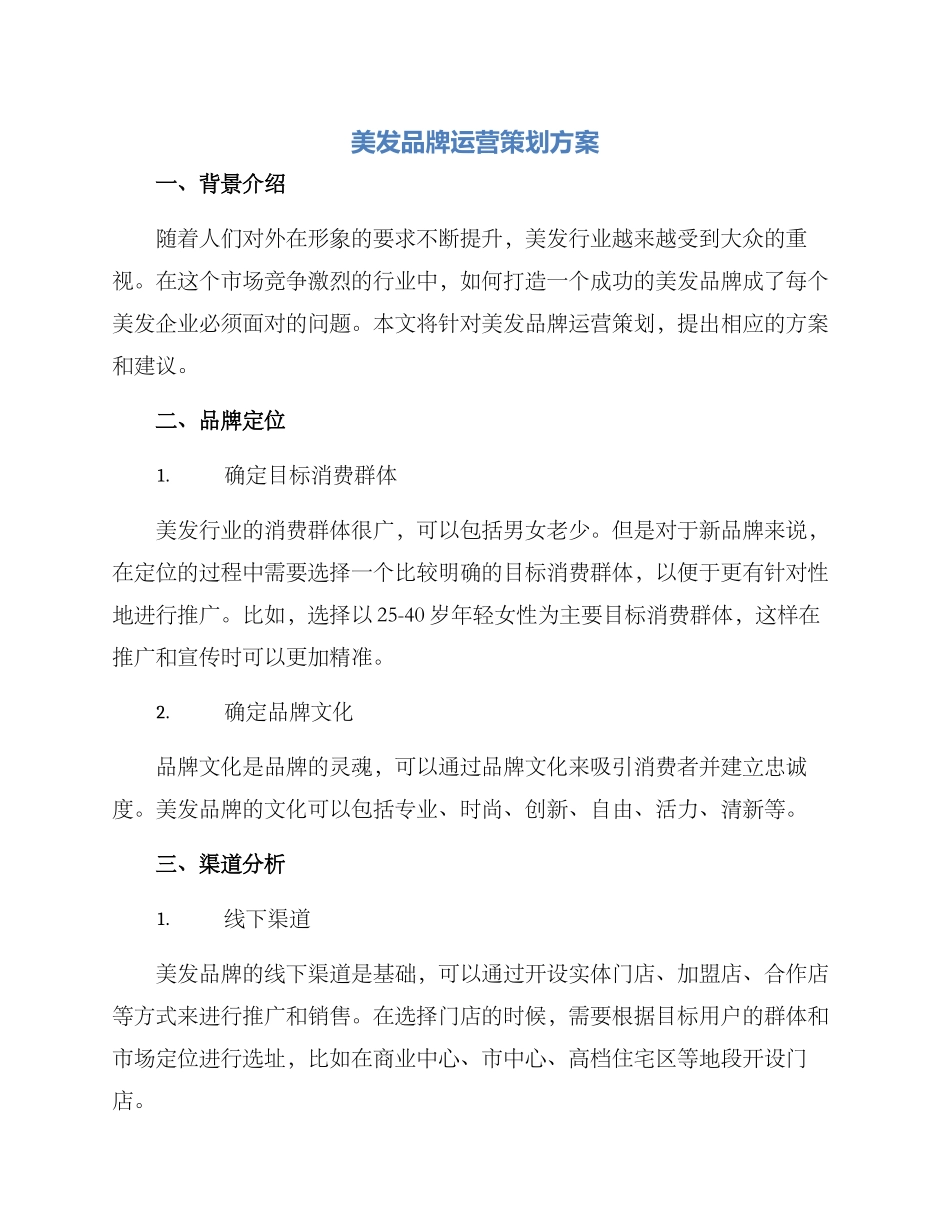 美发品牌运营策划方案_第1页