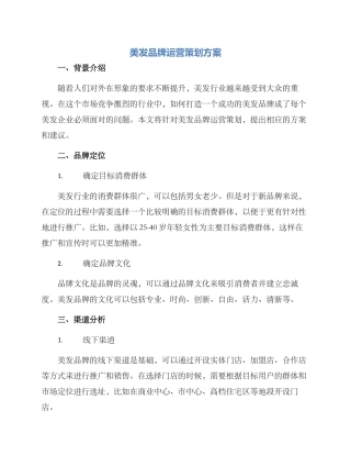 美发品牌运营策划方案